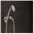 Oxygenics Shower Handheld BN